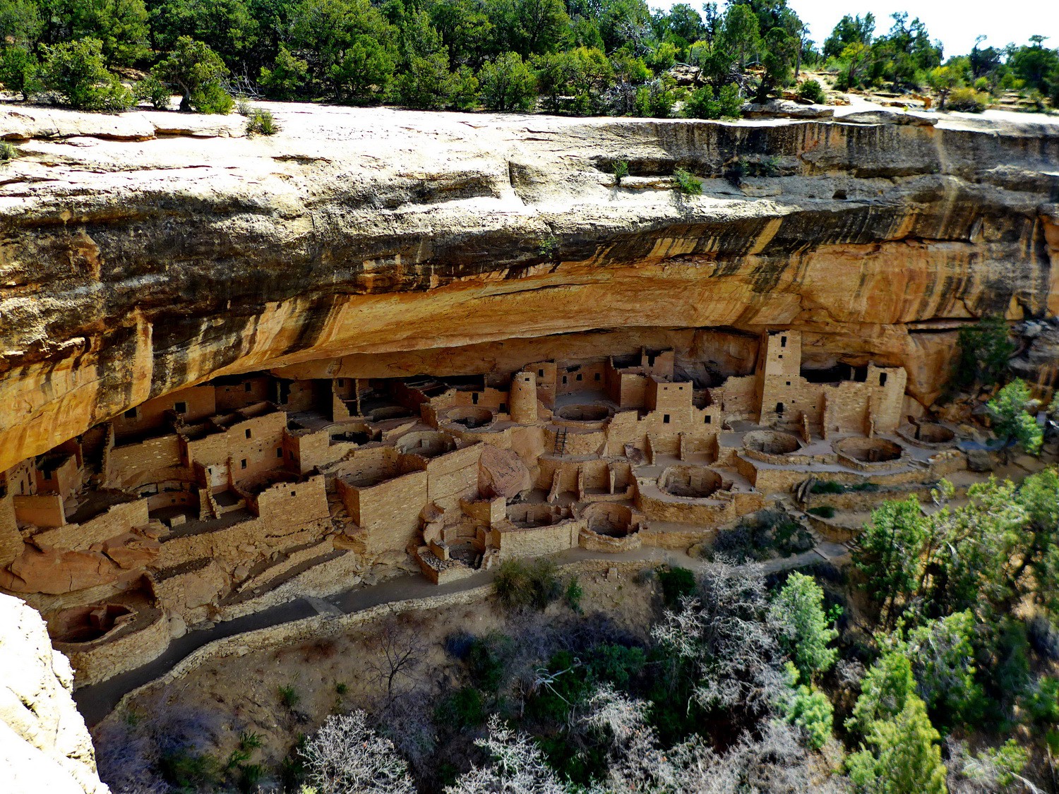Cliff Palace built about 1200 AD by the Ancestral Pueblo people